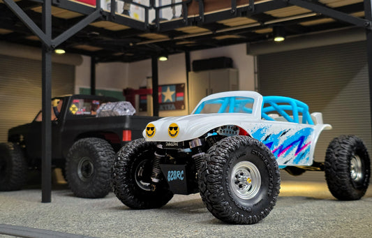 Buggin Out cage with painted Baja Bug body